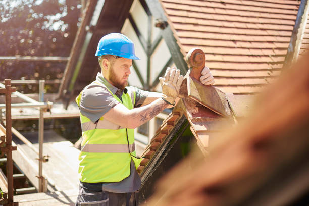 Best Roof Gutter Cleaning  in Bloomington, CA